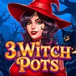 3 Withes Pots